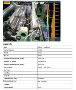 Report FLUKE ii900